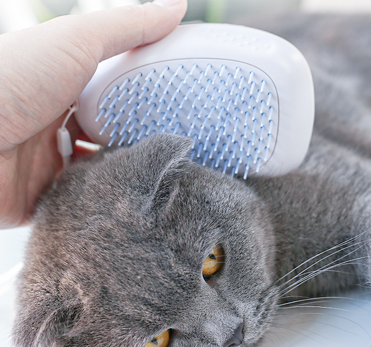 Brush Cat Hair  Pet